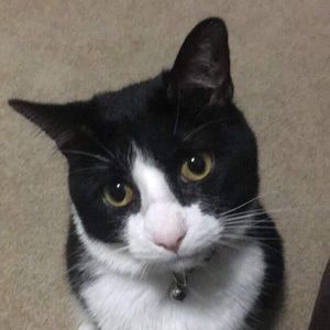 Meet your Posher, Madison